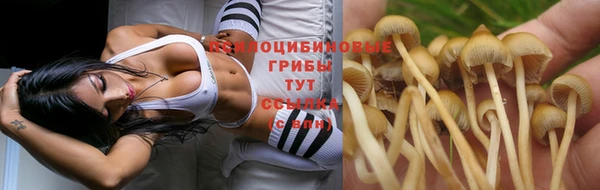 COCAINE Волосово