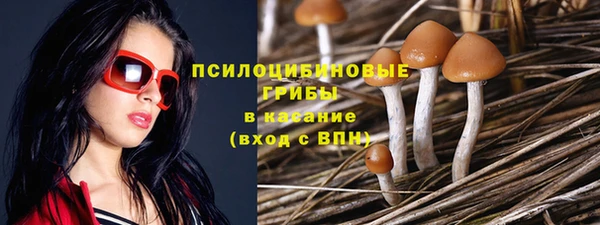 2c-b Володарск
